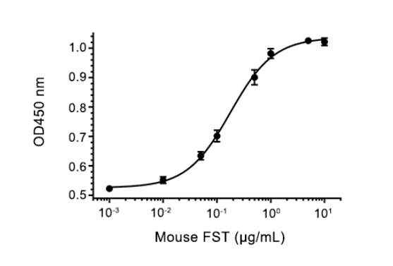 Follistatin/FST 蛋白