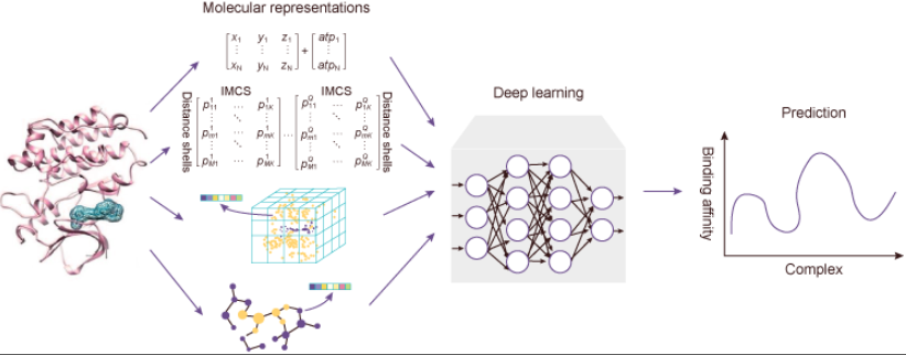 图 2. 基于深度学习模型预测蛋白和小分子结合的流程图