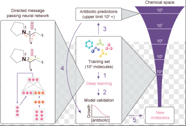 图 3. 借助深度学习算法，实现超大规模化学空间探索：图神经网络 (D-MPNN) 计算预测超过 1 亿个分子的化学性质